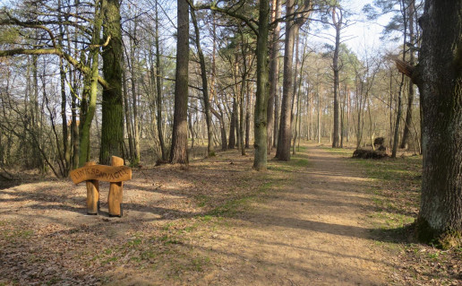 35_Nevėžio upės slėnio pažintinis takas_1.jpg